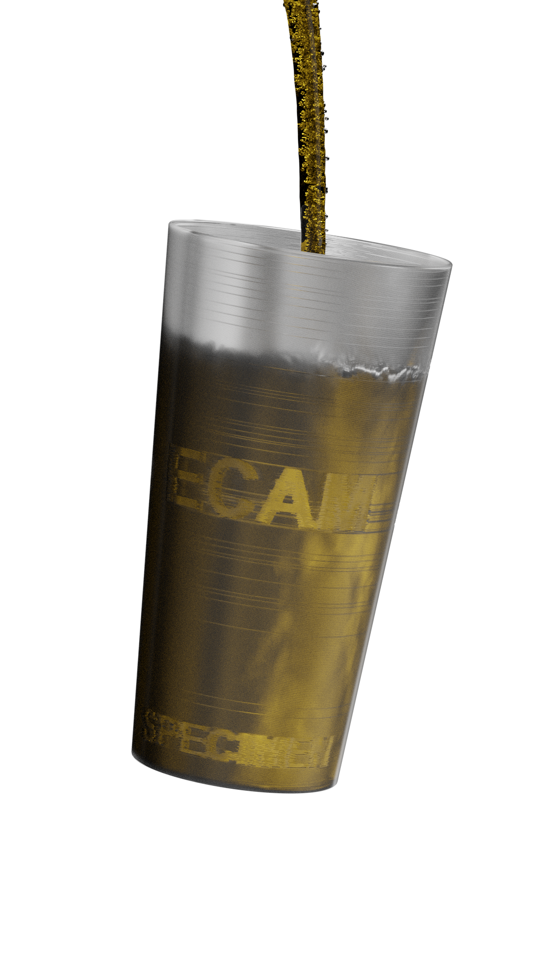 rendu 3D du projet